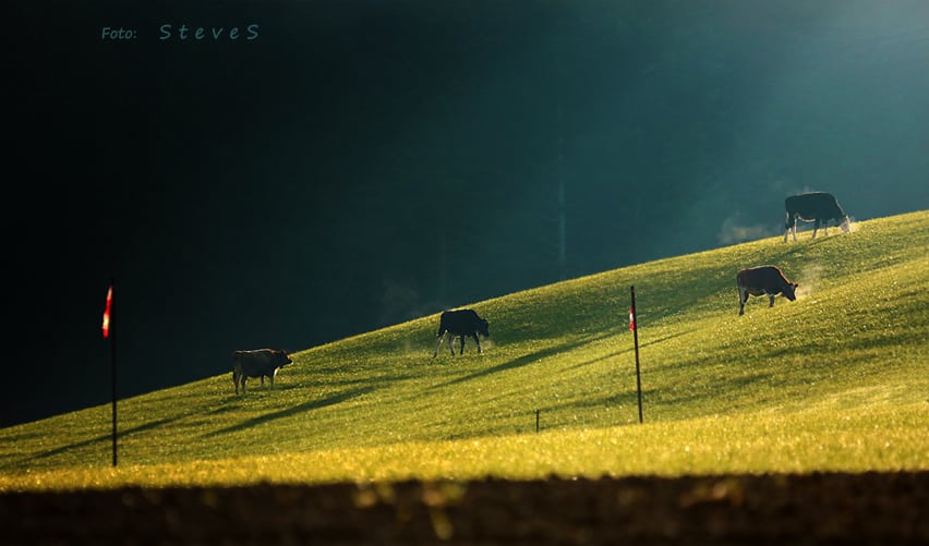 foto: Štefan Šmelko